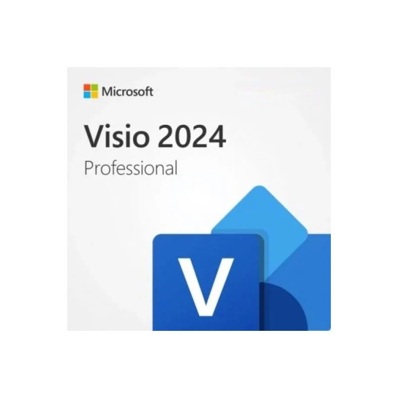 Visio Professional 2024 LTSC para 1 PC 2