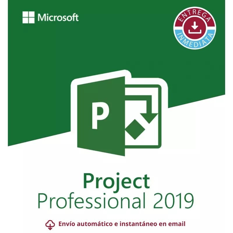 Project Professional 2019 para 1 PC