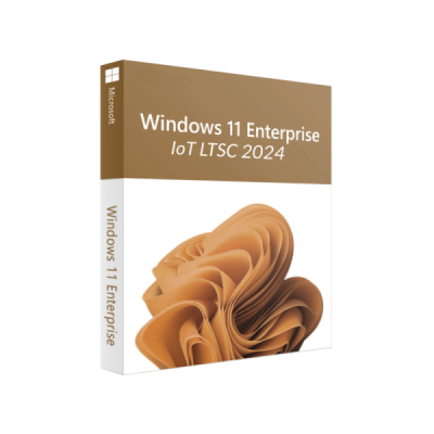 Windows 11 Enterprise IoT LTSC 2024