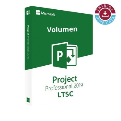 Project Professional 2019 LTSC